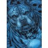 pitbull west coast panska kp mikina guardian angel cerna s (2)