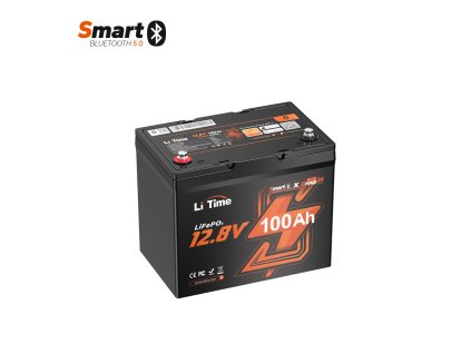 LiTime LiFePO4 baterie 12v 100Ah Group24 BLUETOOTH