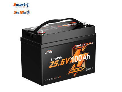 LiTime LiFePO4 baterie Extra Mini 24V 100Ah Bluetooth