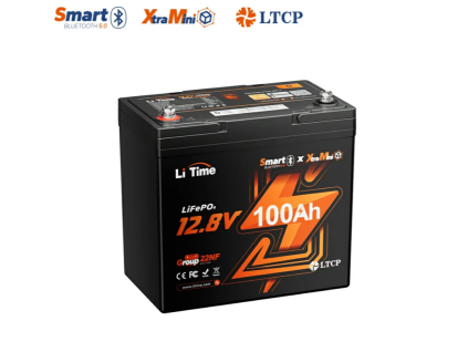 LiTime LiFePO4 baterie 12v 100Ah Xtra Mini BLUETOOTH