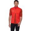 Assos Mammut vest4