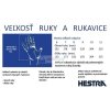 Rukavice HESTRA Army Leather Extreme - Black - palčáky
