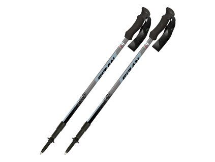Art 100 015 prestige 2025 A
