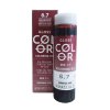 GLOSS COLOR 60 ml - BHEYSÉ