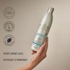 PURIFY CONDITIONER 500 ml - DETOX - ALFAPARF IL SALONE MILANO