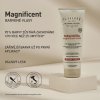 COLOR PROTECTION MASK 500 ml - MAGNIFICENT - ALFAPARF IL SALONE MILANO