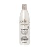 SOFTNESS AND BRIGHTNESS SHAMPOO 500 ml - MYTHIC - ALFAPARF IL SALONE MILANO