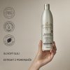 SOFTNESS AND BRIGHTNESS CONDITIONER 1000 ml - MYTHIC - ALFAPARF IL SALONE MILANO