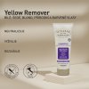 YELLOW REMOVER SHAMPOO 250 ml - ANTI YELLOW - ALFAPARF IL SALONE MILANO