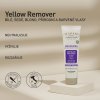 YELLOW REMOVER MASK 150 ml - ANTI YELLOW - ALFAPARF IL SALONE MILANO