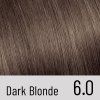PERFECT BROW - RENÉE BLANCHE