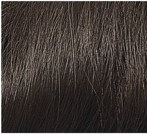 Permanentní gelová barva na vlasy s přírodními výtažky - RENÉE BLANCHE - NATUR COLOR GREEN Odstín: 6C TMAVÝ POPELAVÝ BLOND