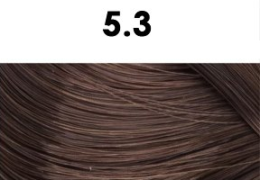 Oxidační krémová barva na vlasy s arganovým olejem a keratinem - BHEYSÉ - HAIR COLOR 100 ml Odstín: 5.3 LIGHT GOLDEN BROWN