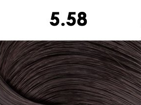 Oxidační krémová barva na vlasy s arganovým olejem a keratinem - BHEYSÉ - HAIR COLOR 100 ml Odstín: 5.58 MILK CHOCOLATE BROWN