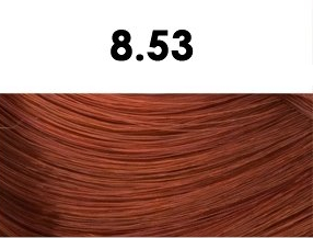 Oxidační krémová barva na vlasy s arganovým olejem a keratinem - BHEYSÉ - HAIR COLOR 100 ml Odstín: 8.53 LIGHT TITIAN RED BLONDE