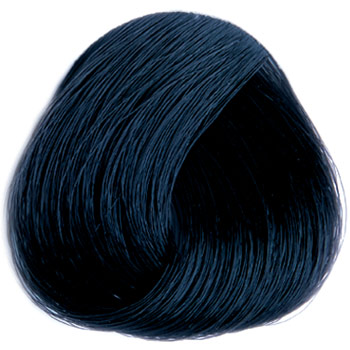REVERSO HAIR COLOR 100 ml - Profesionální oxidační permanentní barva BEZ AMONIAKU A BEZ PPD Odstín: 1.1 Blue Black