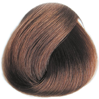 REVERSO HAIR COLOR 100 ml - Profesionální oxidační permanentní barva BEZ AMONIAKU A BEZ PPD Odstín: 7.51	Salak Blond