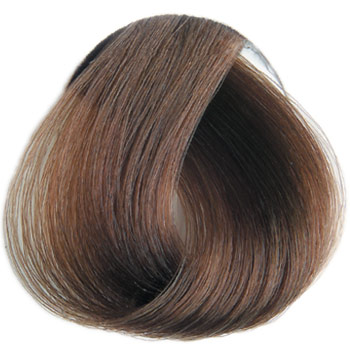 REVERSO HAIR COLOR 100 ml - Profesionální oxidační permanentní barva BEZ AMONIAKU A BEZ PPD Odstín: 6.0 Dark Blond
