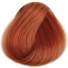 REVERSO HAIR COLOR 100 ml - Profesionální oxidační permanentní barva BEZ AMONIAKU A BEZ PPD