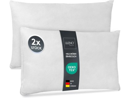 81sEk1TjexL. AC SL1500