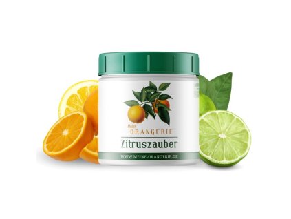 Zitruszauber 500g 800x800