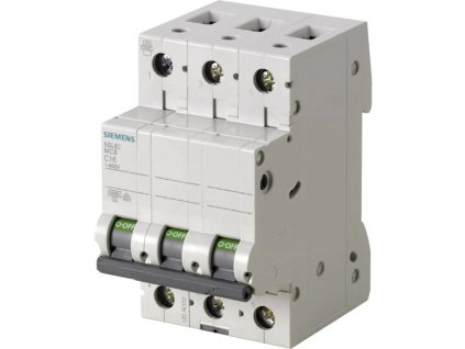 image (1)