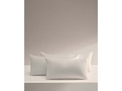 A000002401 2