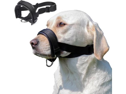 71s4Gzy1dVL. AC SL1500