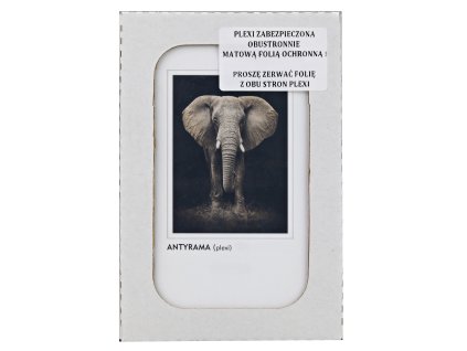 antyrama 50 x 70 cm 33780