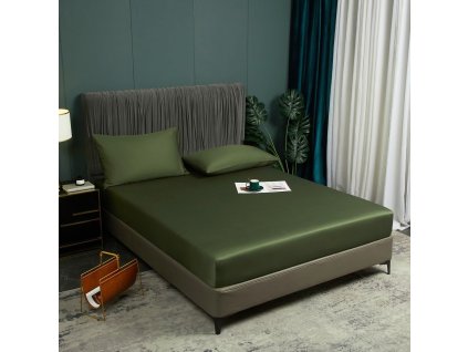 71Weyez IUL. AC SL1500