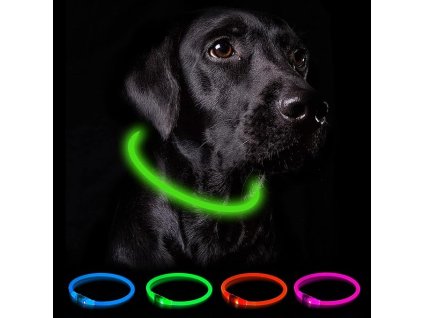 71UQ3nIXawL. AC SX679