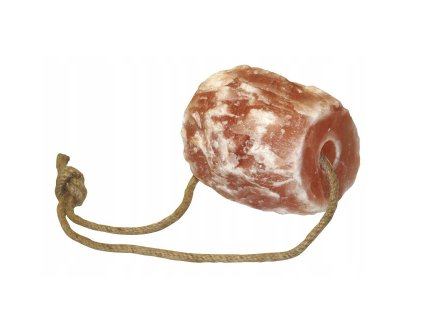 Screenshot 2026 02 17 at 12.28.48 PM