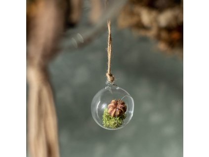 133e113ef04e447ebc28f18af8754ecc 800x800