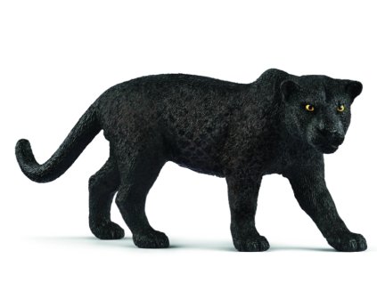 Screenshot 2026 02 19 at 12.18.01 PM