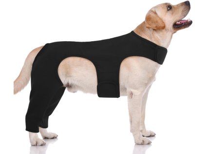 61 LrHXrsCL. AC SL1500