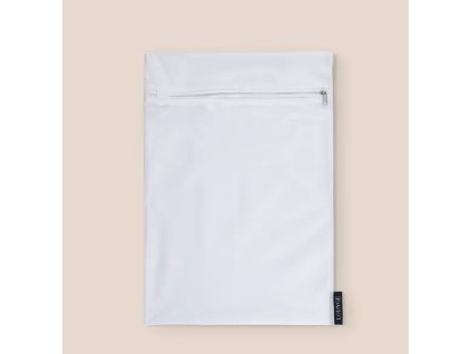 Screenshot 2026 03 10 at 1.17.58 PM