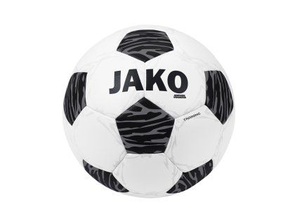 training ball animal