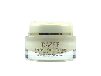 raise perfect cream 18819