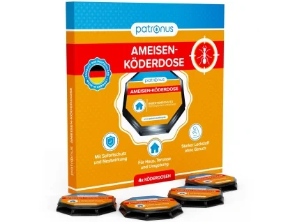 Ameisen Koderdose DE MAIN 01 scaled