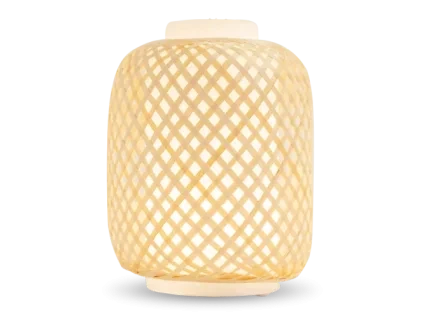 N8192CDE aromatherapie diffuser arago product main thumbnail 1 1739282120