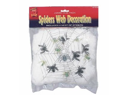 Pavučina se 6 pavouky