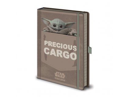 Zápisník Star Wars: Mandalorian - Precious Cargo
