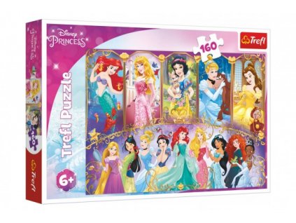 Puzzle Portréty princezen Disney 41x27,5cm 160 dílků v krabici 29x19x4cm