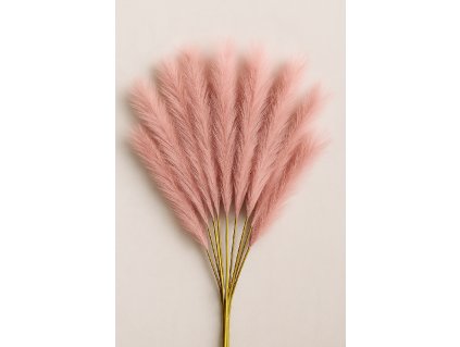 3DBAE4C5 62E4 41AC 8ECE 515EC149E2F4