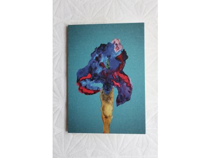 Kosatec - papírové přání - petrolejová