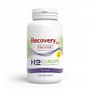 H2 Recovery H2 Inside