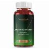 Vesantech Ashwagandha Gummies main 2