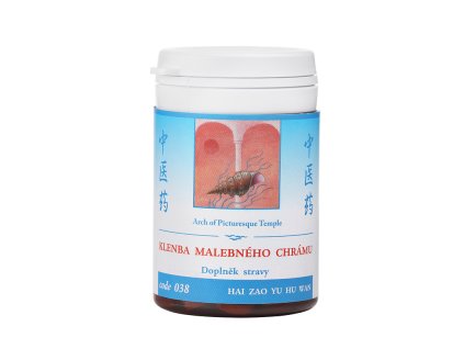 TCM Herbs Klenba malebného chrámu (038) 100 tablet
