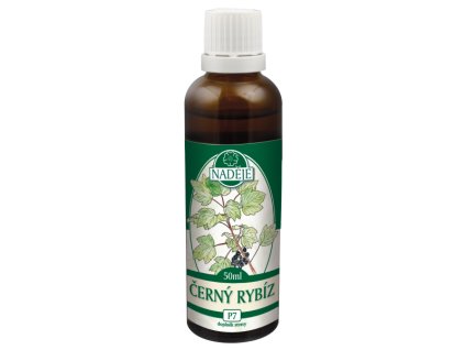 Naděje Černý rybíz (gemmoterapeutikum) 50 ml
