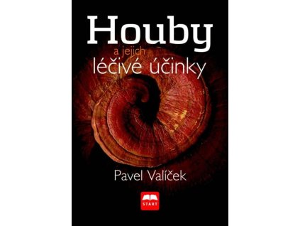 Huby a ich liečivé účinky